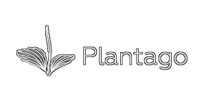 PLANTAGO