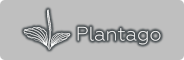 Plantago